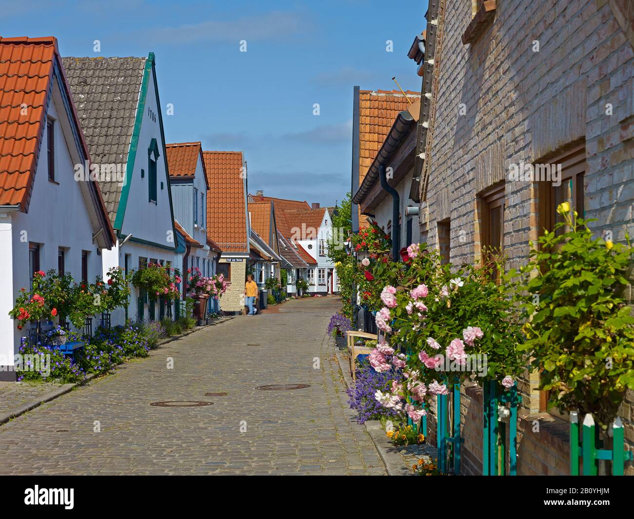 Maisons dans la zone de pêche Holm dans le Schleswig, Schleswig-Flensburg district, Schleswig-Holstein, Allemagne, Banque D'Images
