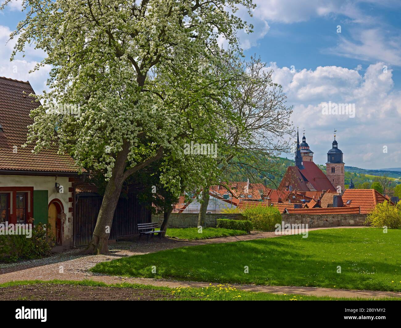 Vue panoramique sur la vieille ville avec l'église Saint-Georges à Schmalkalden, Thuringe, Allemagne, Banque D'Images