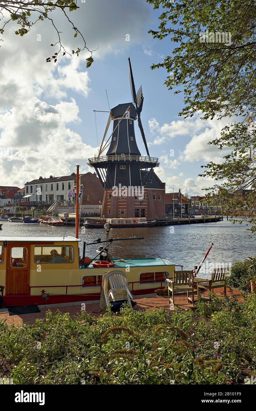 Adriaan Moulin à Haarlem, Hollande du Nord, Pays-Bas Banque D'Images