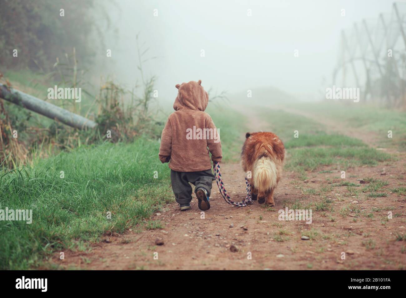 Le très petit enfant marche dans le brouillard avec le chien Banque D'Images