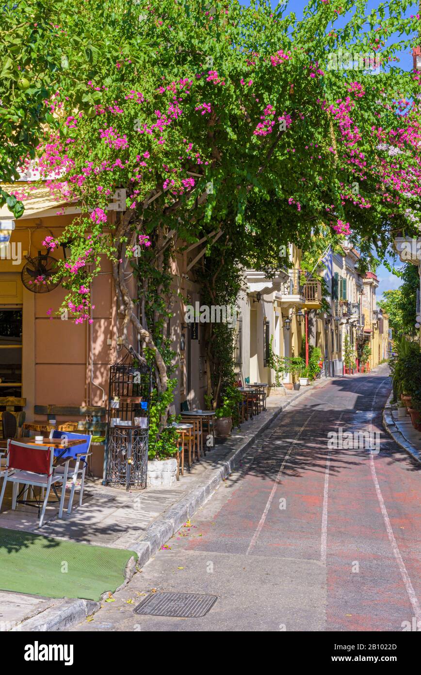 Rues couvertes de bougainvilliers du quartier de Plaka à Athènes, Grèce Banque D'Images