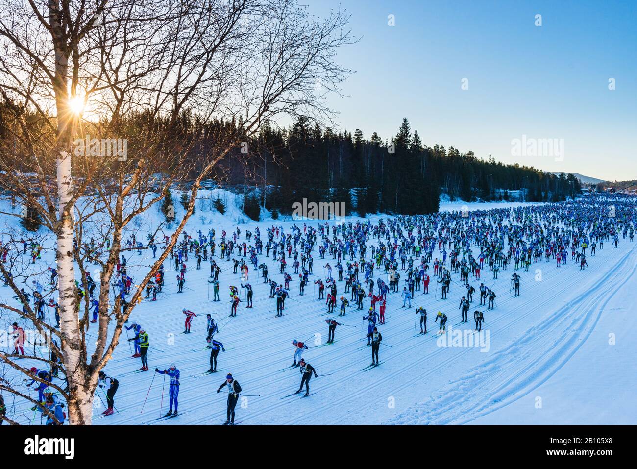 Le début de la course de ski de fond de Vasaloppet, qui s'est située à 90 km Banque D'Images