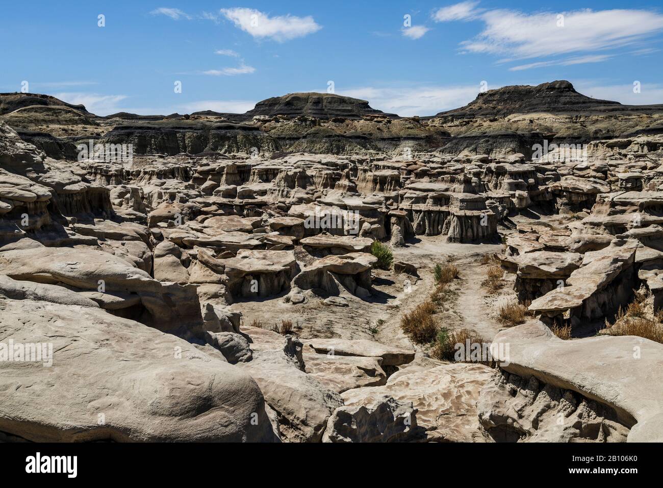 Bisti/De-Na-Zin Désert, New Mexico, USA Banque D'Images