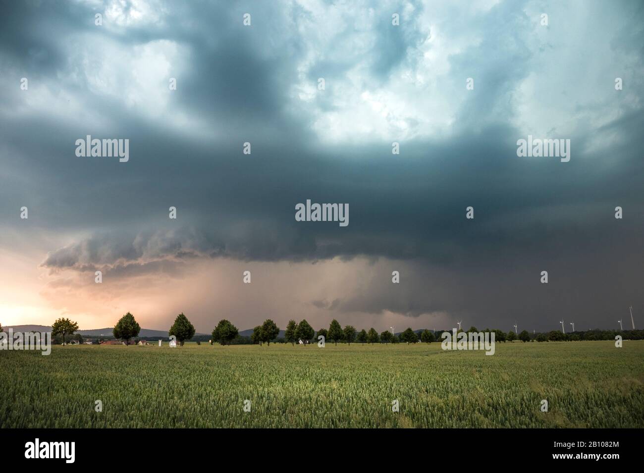 Vent dominant supercellule HP avec front de rafale et nuage de mur à la lumière du coucher du soleil près de Kamenz, Saxe, Allemagne Banque D'Images Vent dominant supercellule HP avec front de rafale et nuage de mur à la lumière du coucher du soleil près de Kamenz, Saxe, Allemagne Banque D'Images
