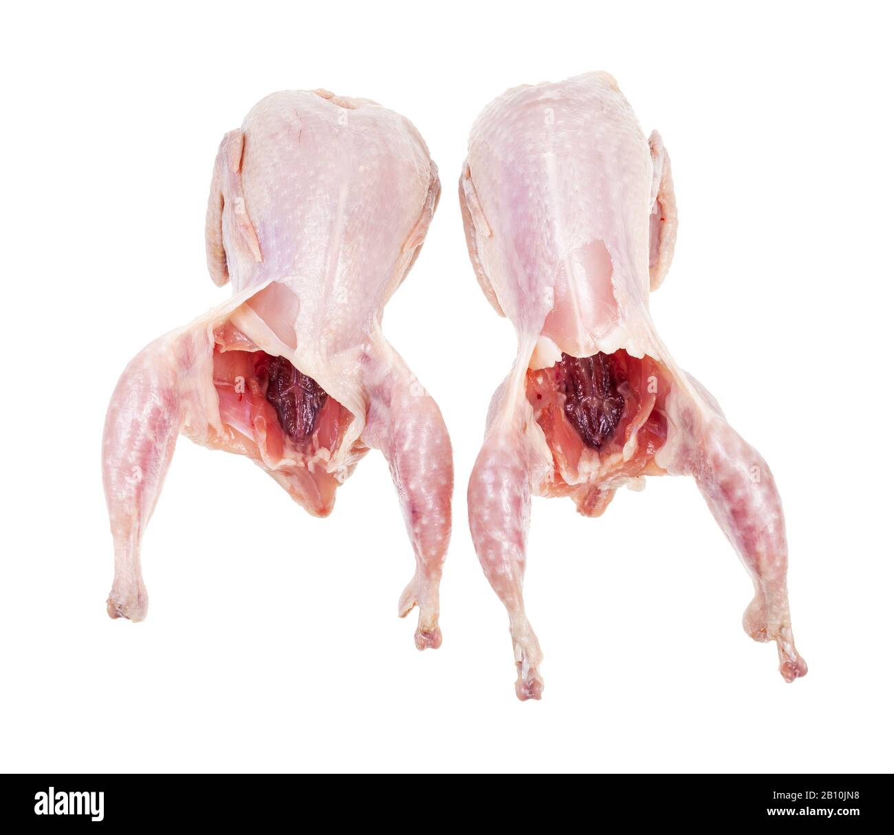 deux quails bruts pluchés et éviscérés isolés sur fond blanc Banque D'Images