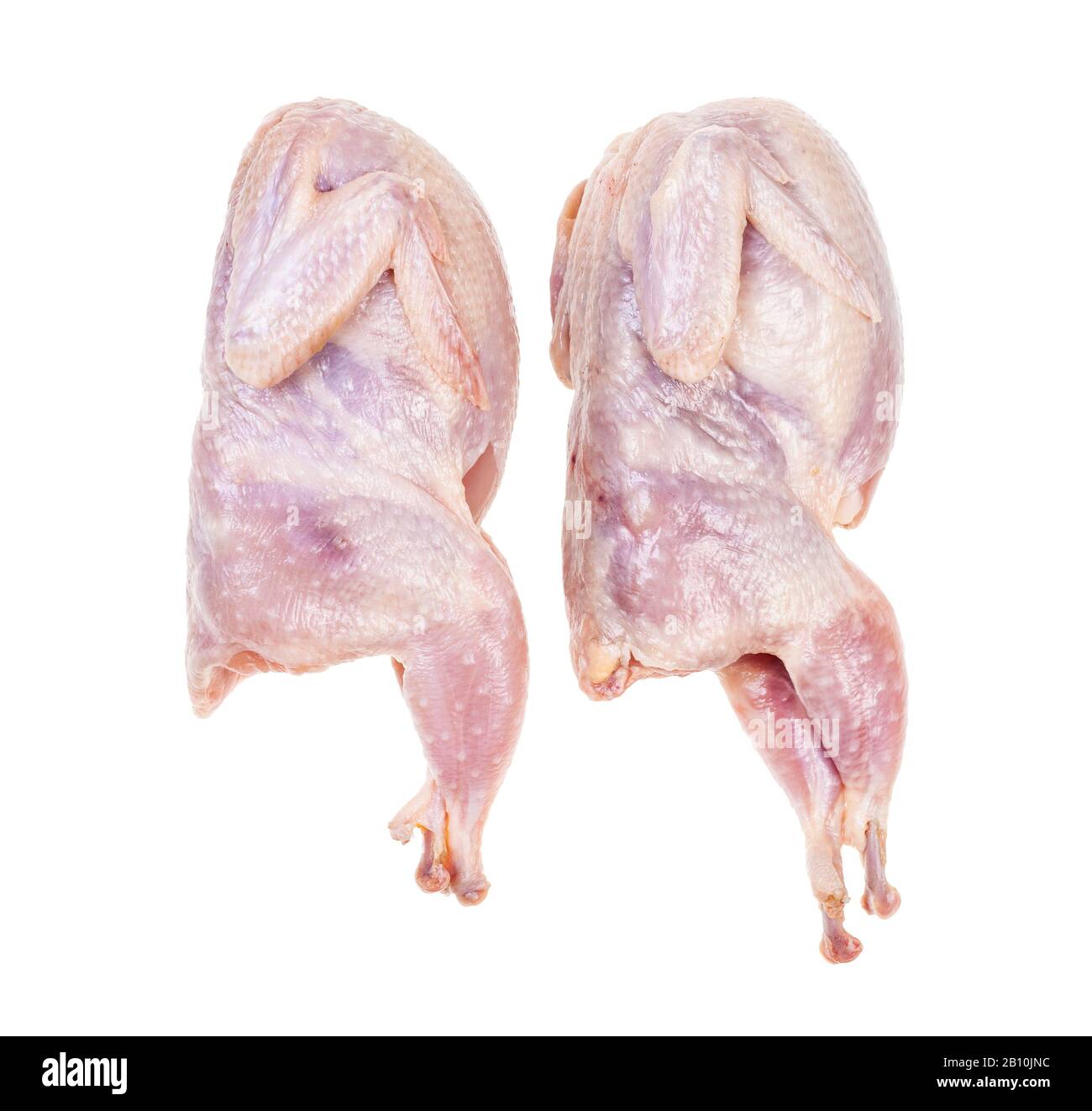 paire de quails bruts pluchés isolés sur fond blanc Banque D'Images