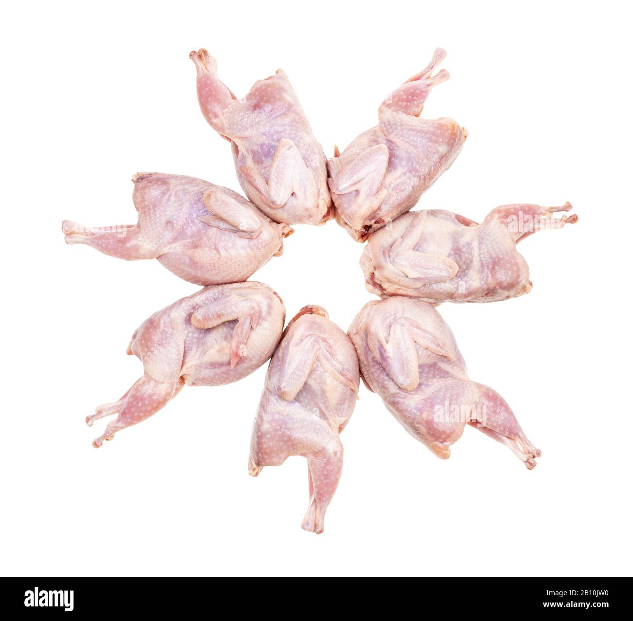 cercle à partir de quails bruts pluchés isolés sur fond blanc Banque D'Images