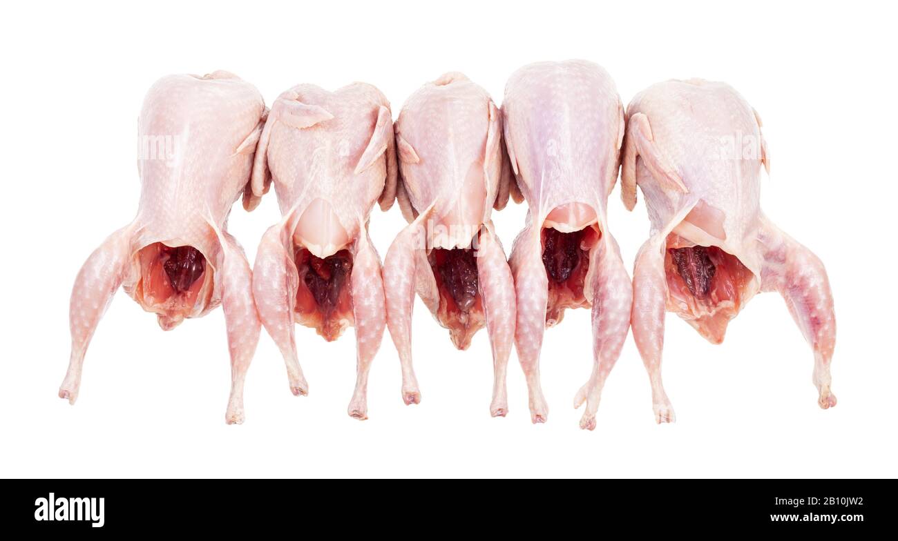 cinq queues crues pluchées et évissées isolées sur fond blanc Banque D'Images