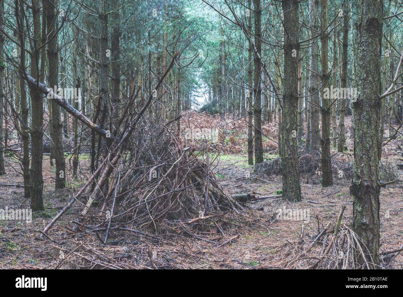 Restez dans la forêt une cabane de style wigwam ou un coin-détente fait par les enfants jouant à l'extérieur Banque D'Images