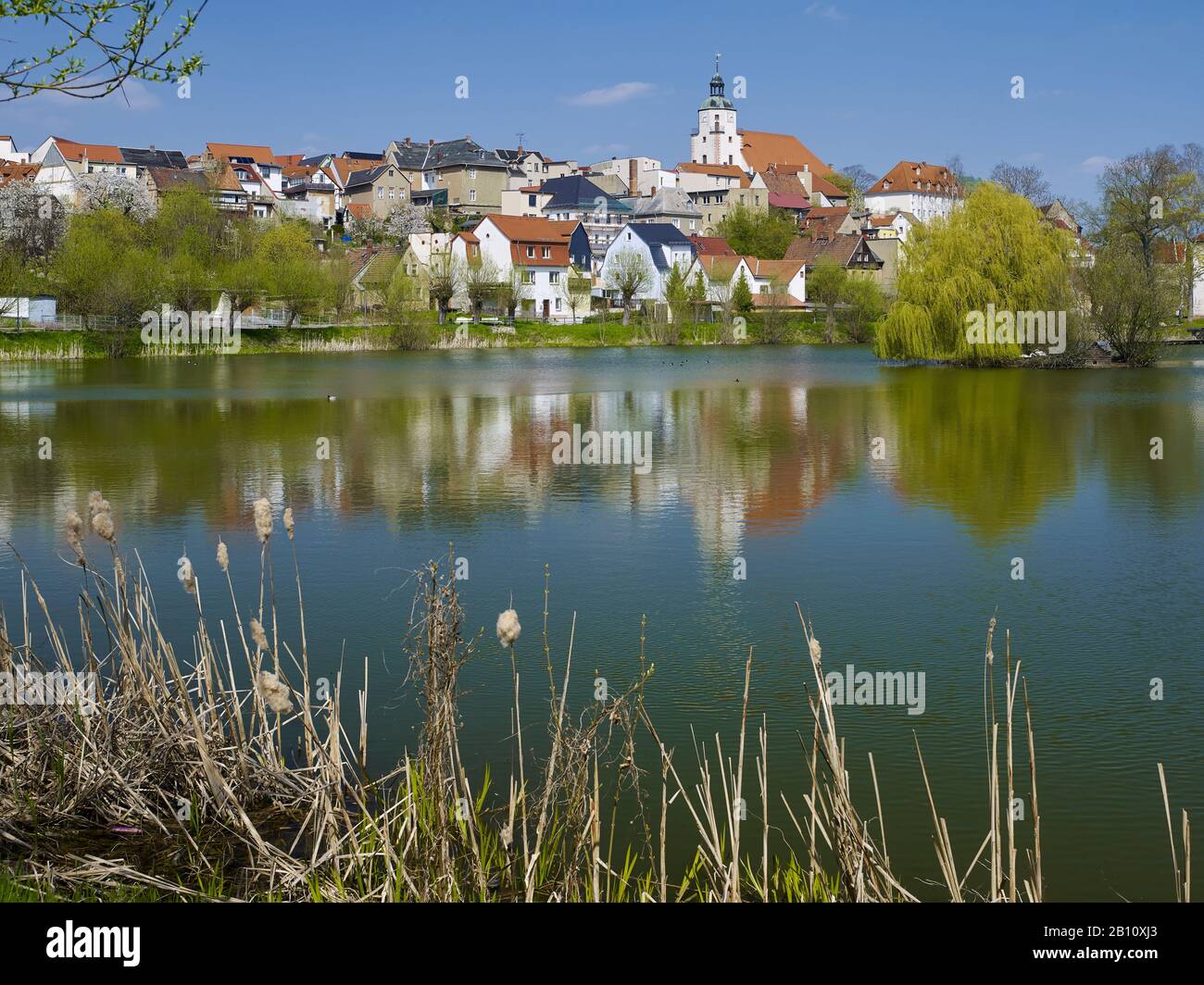 Vue panoramique sur l'étang de baignade de la vieille ville avec l'église Saint-Marien, Ronneburg, Thuringe, Allemagne Banque D'Images