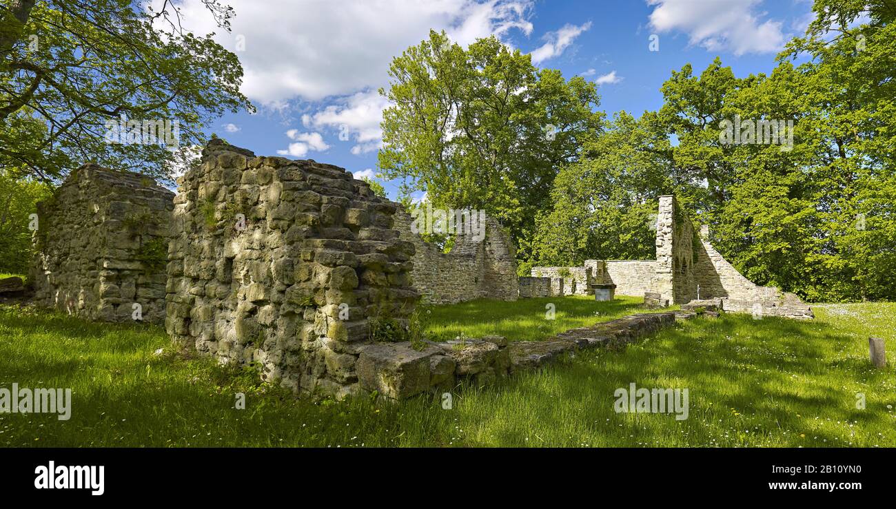 La ruine de l'église Saint-Cyriacus près de Camburg, Thuringe, Allemagne Banque D'Images