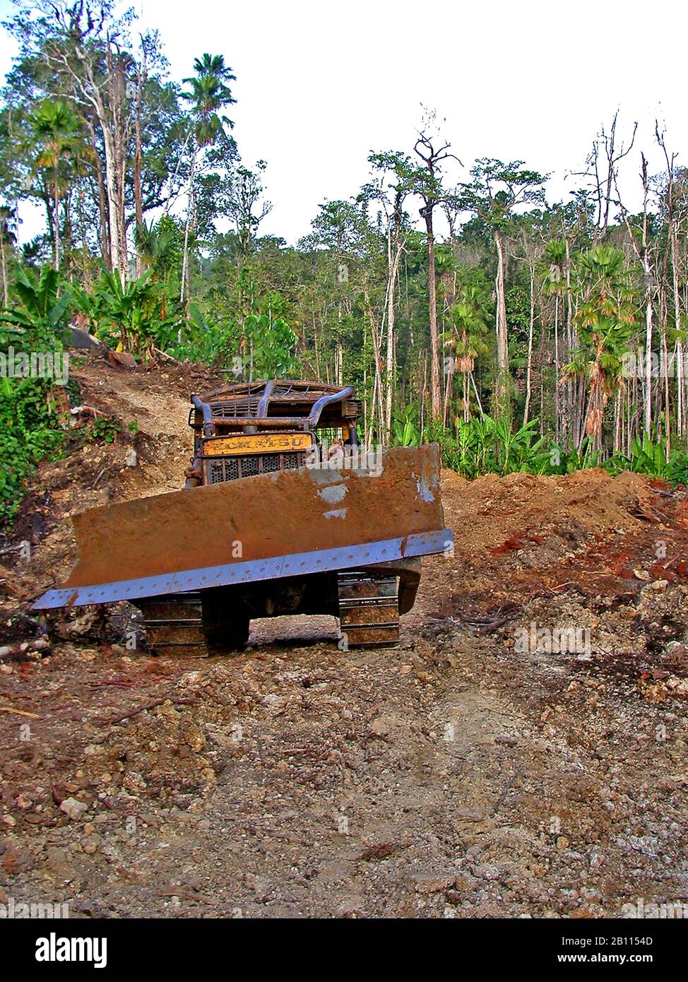 Dégagement illégal de la forêt tropicale, Indonésie, Sulawesi, Halmahera Banque D'Images