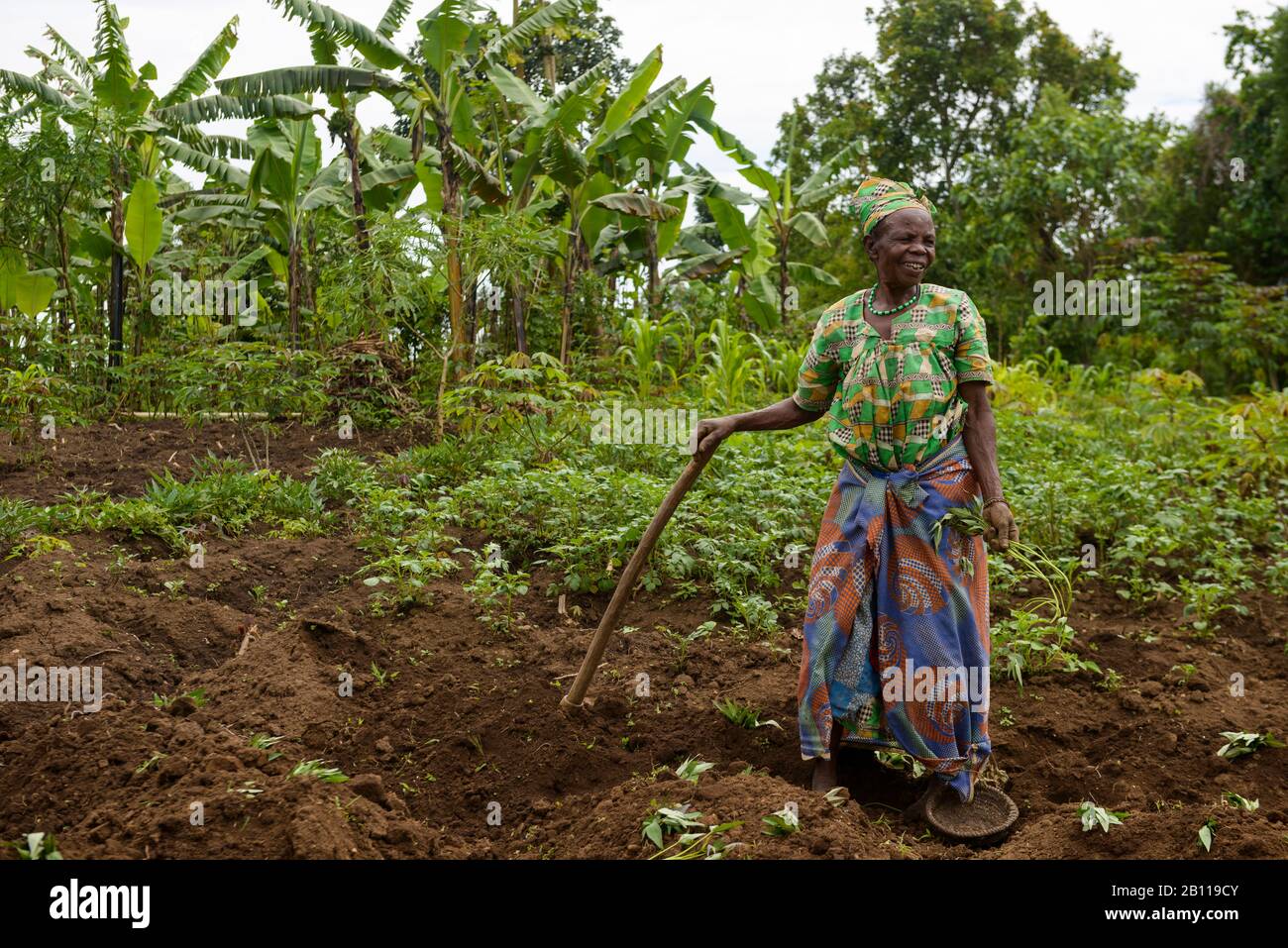 Paysanne au travail, Ouganda, Afrique Banque D'Images