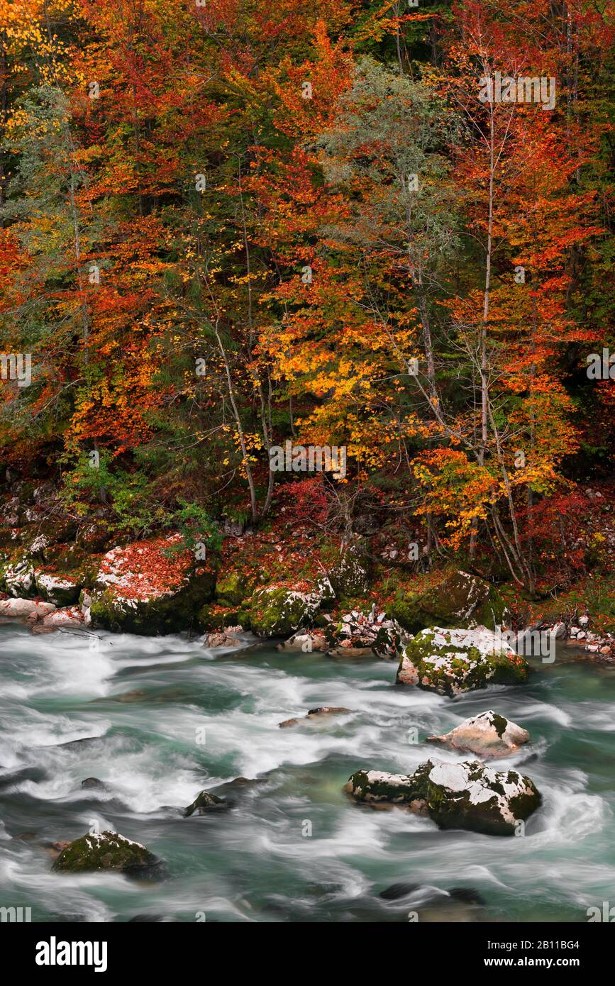 Rivière Saalach, Lofer, Province De Salzbourg, Autriche, Europe Banque D'Images Rivière Saalach, Lofer, Province De Salzbourg, Autriche, Europe Banque D'Images