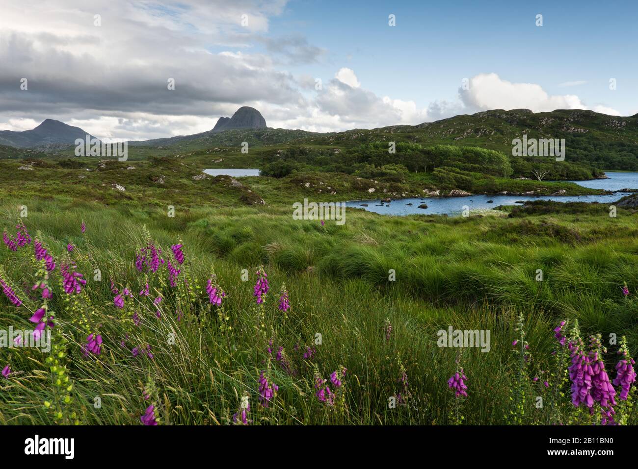 Berg Suilven, Highlands, Écosse, Angleterre, Royaume-Uni, Europe Banque D'Images