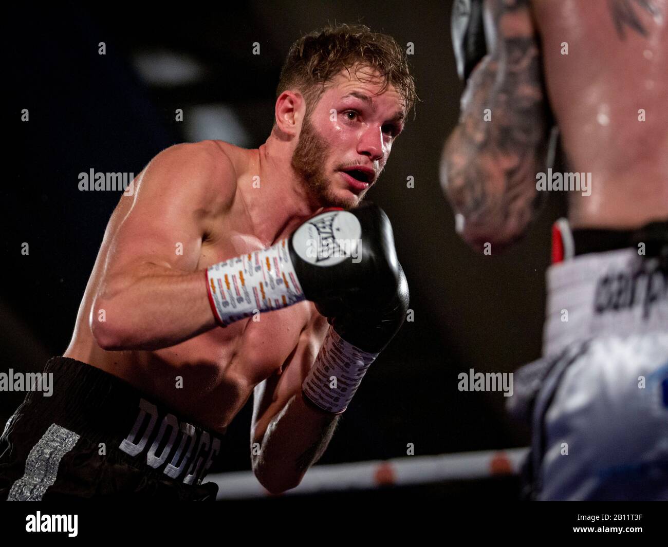 TAUNTON, ROYAUME-UNI. 21 février 2020. Le boxeur Yeovil Dean Dodge (malles noirs) a combattu le boxeur de Birmingham et l'ancien champion anglais et champion international de poids lourd GB Sean Davis (malles blancs) au centre de loisirs Wellsprings de Taunton, organisé par Priority Boxing Promotions. Il a lutté dur pour obtenir un knock-out dès le début mais en raison de l'endommagement de sa main droite au deuxième tour, il a été entravé mais a gagné sur les points après 6 tours de trois minutes. Cela fait de Dodge, surnommé El Diablo, indéfait dans 10 combats professionnels et confiant d'un titre tourné dans un avenir proche. Banque D'Images