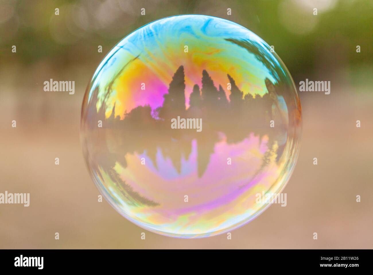 Une bulle de savon à la couleur solitaire avec des reflets Photo Stock -  Alamy