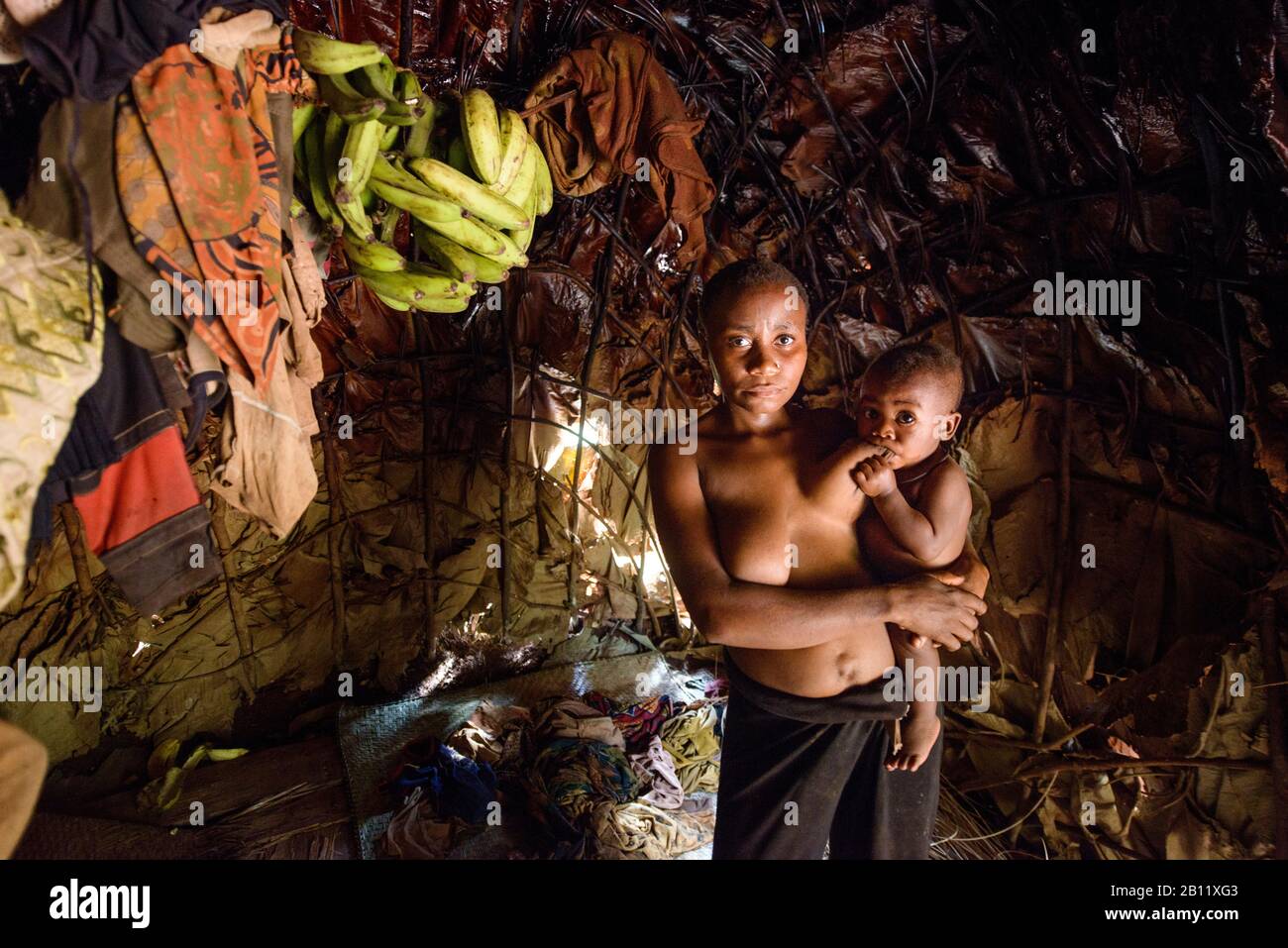 Baka pygmées de la forêt équatoriale, Cameroun, Afrique Banque D'Images