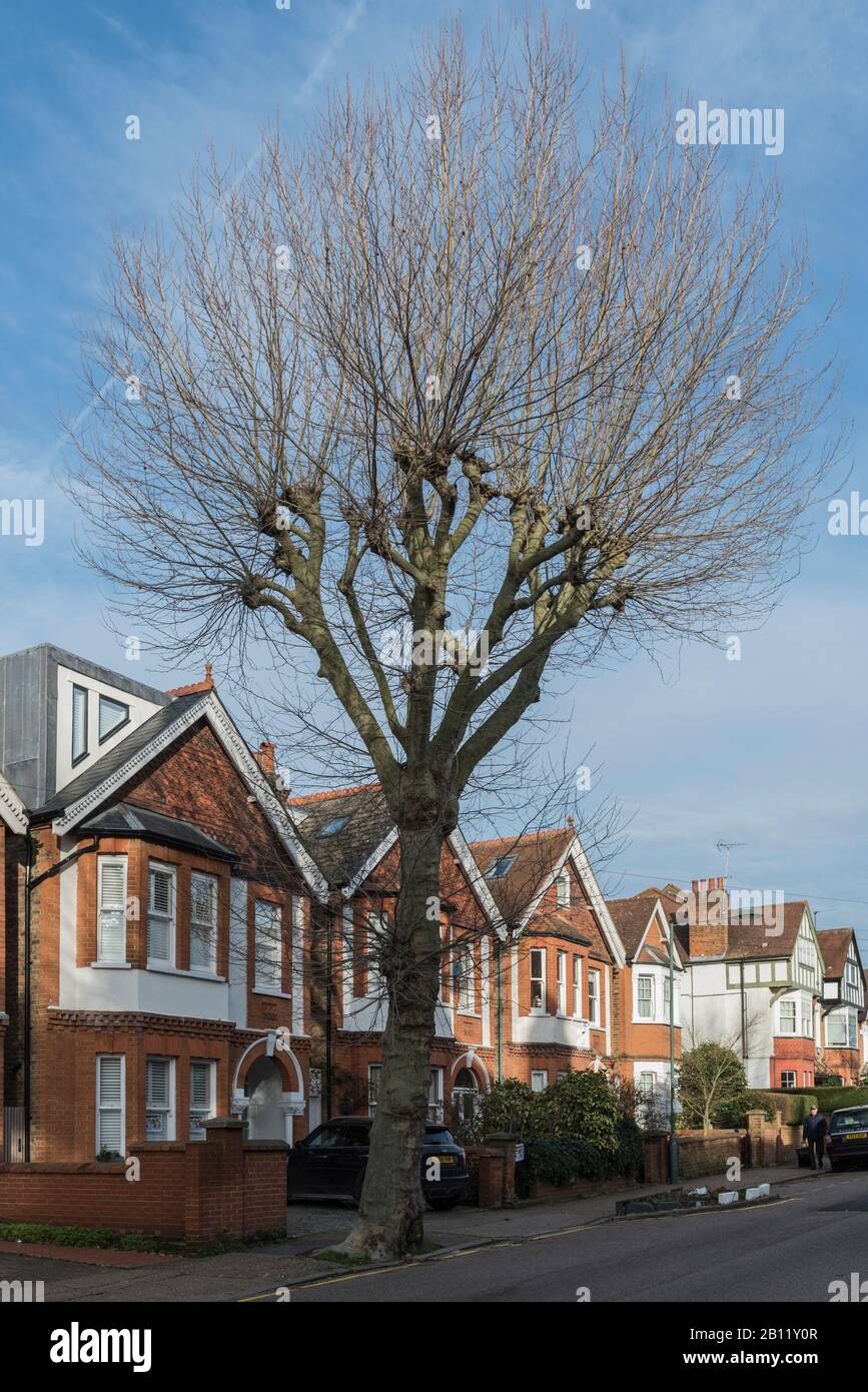 Avenue kingston Banque de photographies et d’images à haute résolution