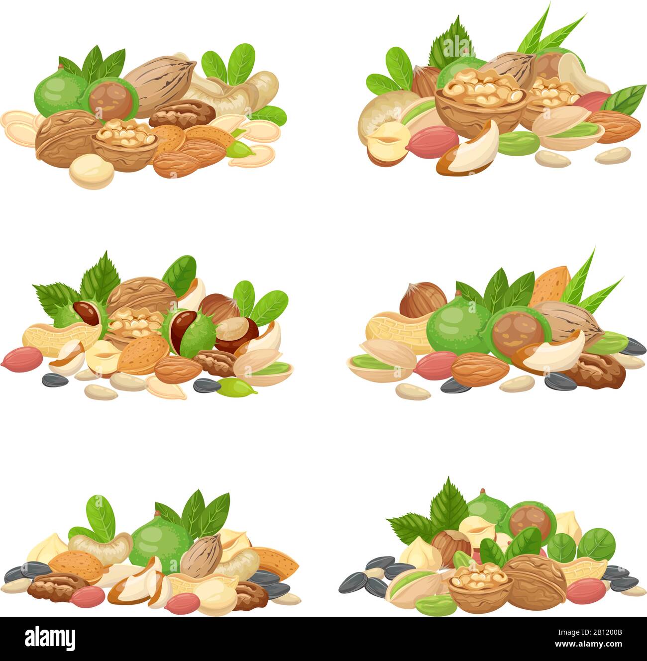 Bouquet de noix. Grains de fruits, noix d'amande séchée et graines de cuisson ensemble vectoriel isolé Illustration de Vecteur