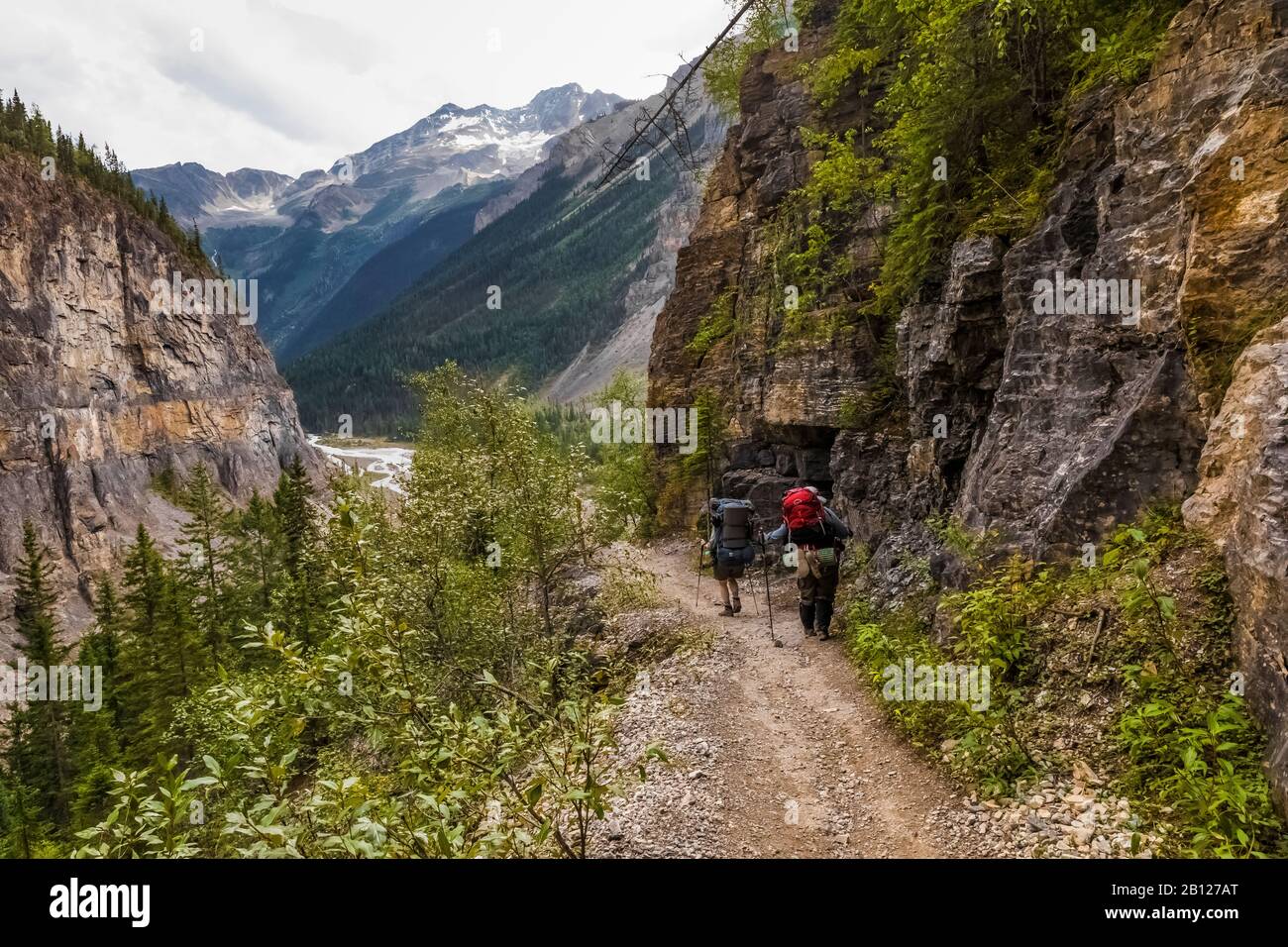 Sentier du lac Berg dans le parc provincial du Mont Robson (Colombie-Britannique), Canada [pas de modèle de publication; disponible pour licence éditoriale seulement] Banque D'Images