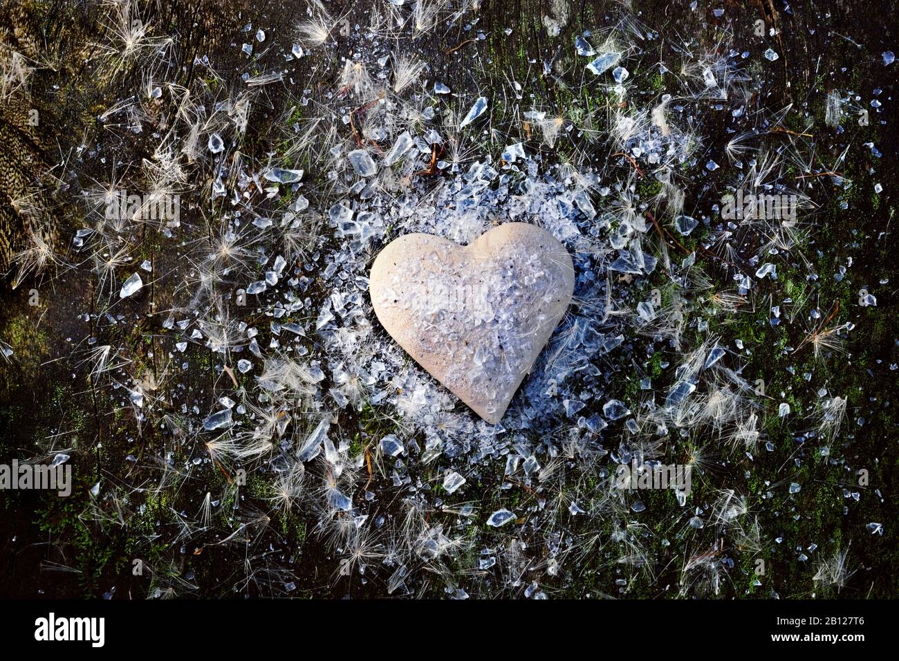 Coeur de couleur pâle sur bois de mousse, entouré de verre cassé et de thistledown. Banque D'Images