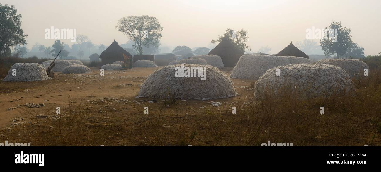 Côte d'Ivoire (Côte d'Ivoire), prête à prendre, Banque D'Images