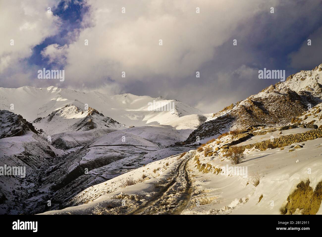 Vallée de l'ulley. Ladakh, Himalaya. Inde Banque D'Images