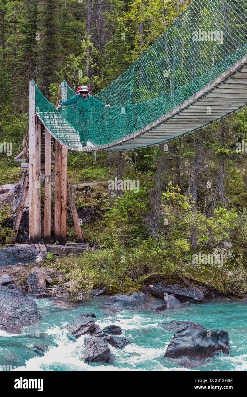 Pont suspendu pour les randonneurs traversant la rivière Robson au terrain de camping Whitehorn dans le parc provincial du Mont Robson (Colombie-Britannique), Canada [pas de modèle rel Banque D'Images