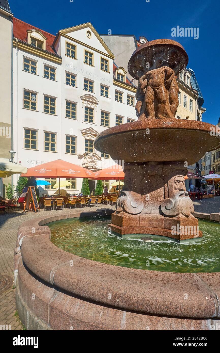 Kleine Fleischergasse, site historique, l'hôtel Haus zum Arabischen Coffe Baum à Leipzig, Saxe, Allemagne Banque D'Images