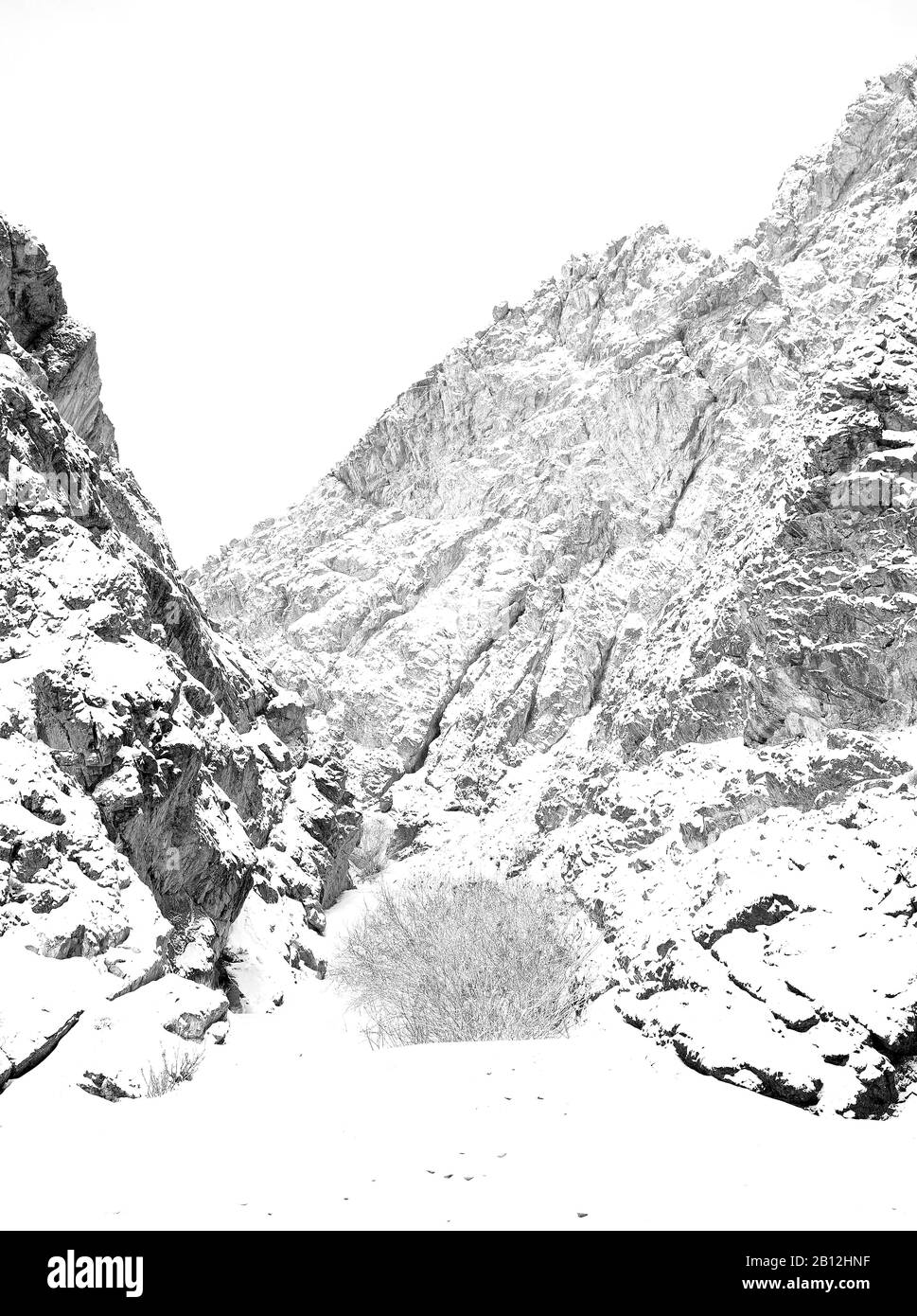 Vallée de Rumbak. Parc national de Hemis. Ladakh, Himalaya. Inde Banque D'Images