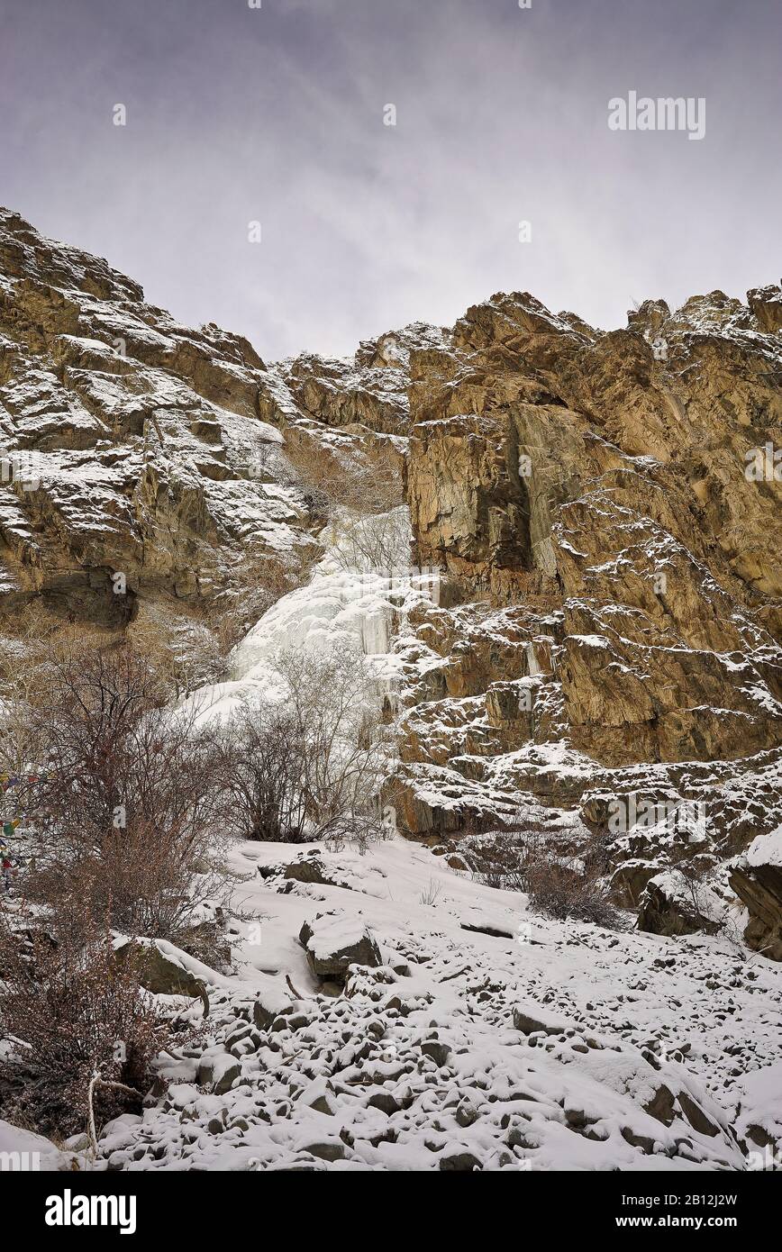 Vallée de Rumbak. Parc national de Hemis. Ladakh, Himalaya. Inde Banque D'Images