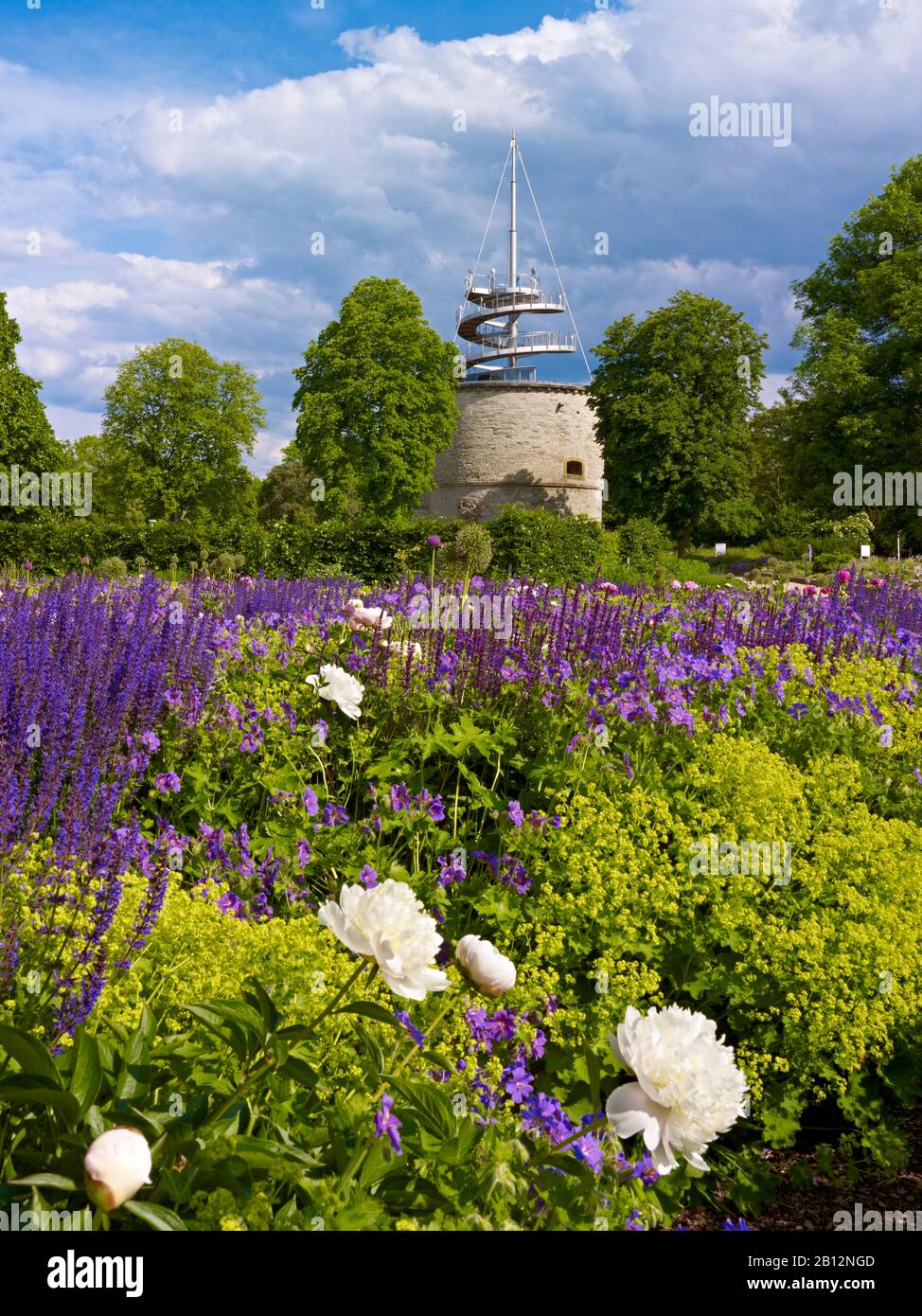 Parc EGA, lit de pivoine (pivoine) avec tour d'observation à Erfurt, Thuringe, Allemagne Banque D'Images