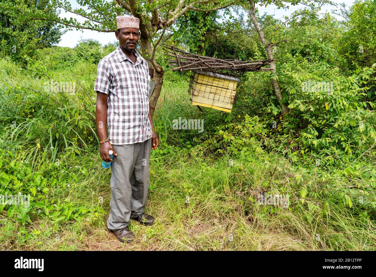 Un agriculteur inspecte sa ruche construit une clôture pour empêcher les éléphants de piller les cultures dans le sud du Kenya Voi près de Sagalla Banque D'Images