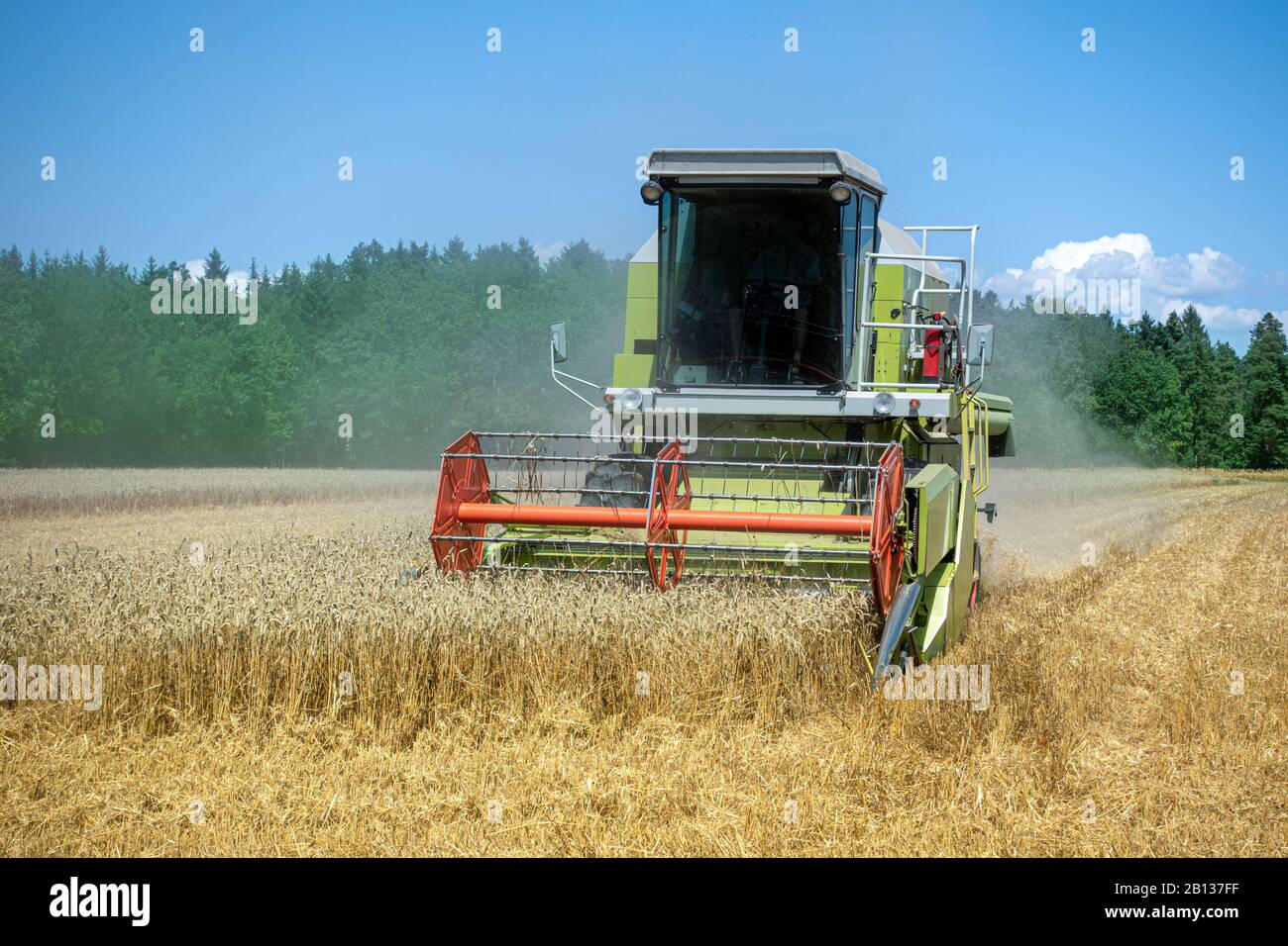 La moissonneuse-batteuse récolte un champ de blé mûr Banque D'Images