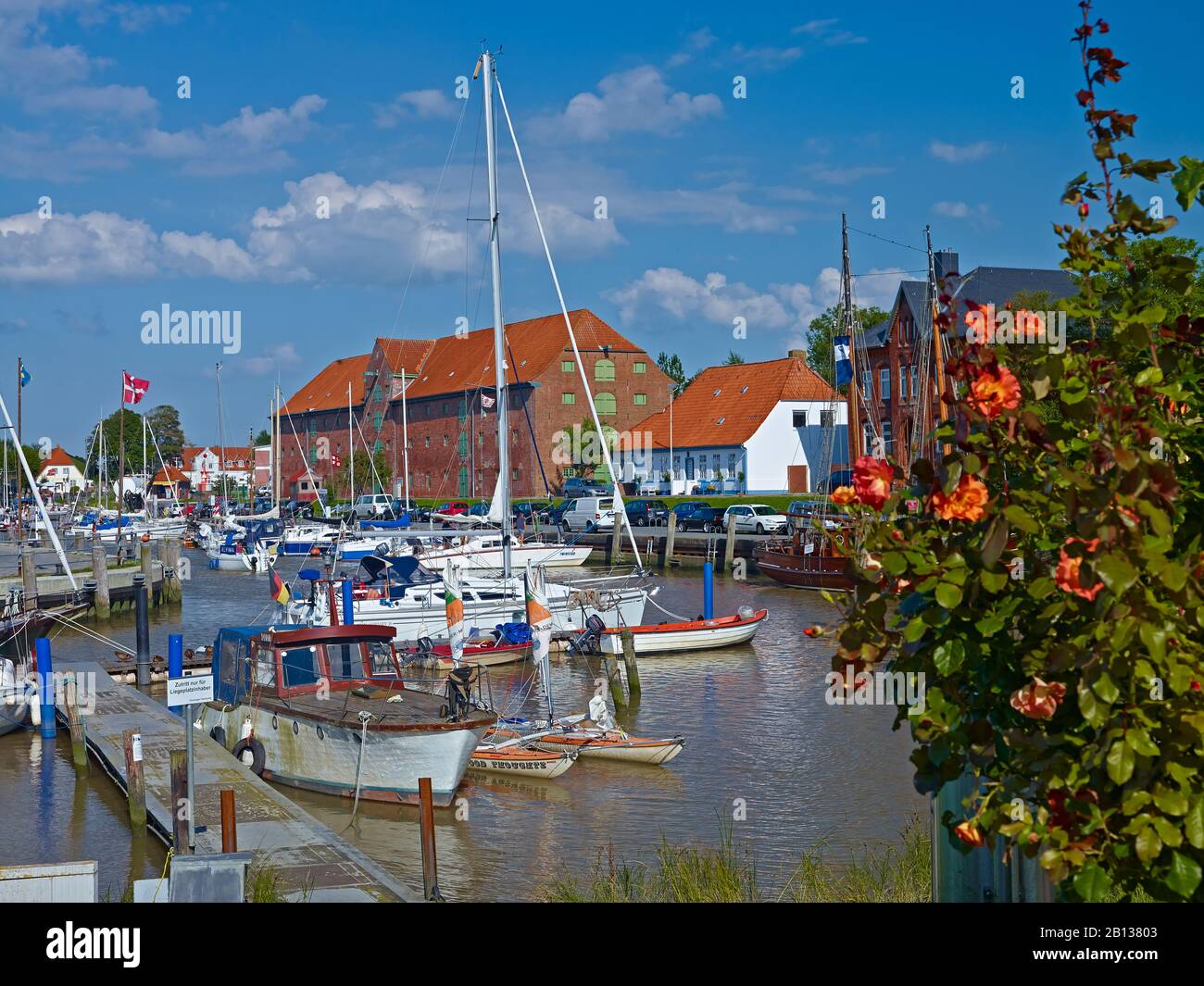Port avec maison d'emballage à Toenning, Frise du Nord, Schleswig-Holstein, Allemagne Banque D'Images