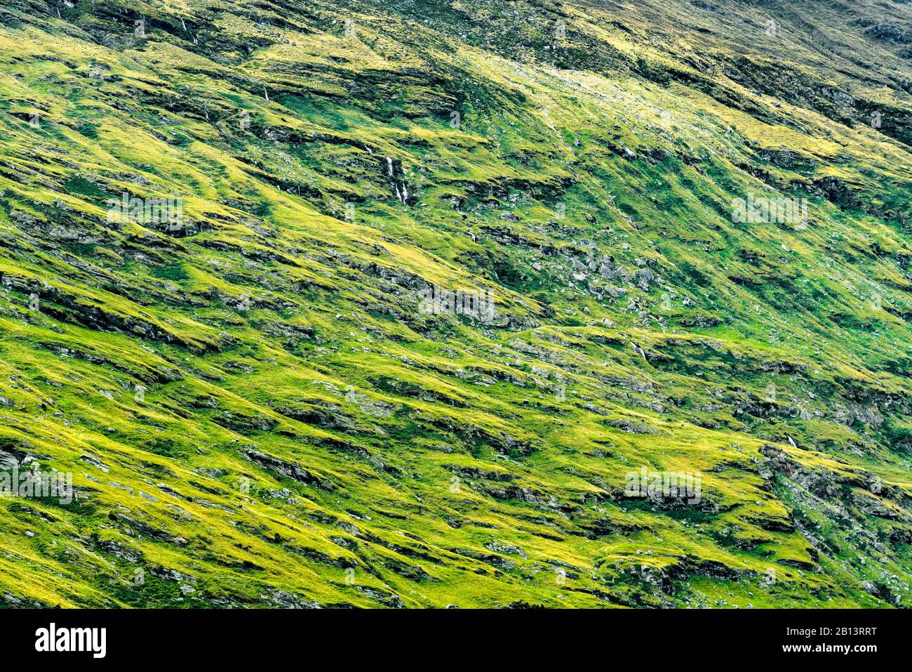 Rob Roy Mountainside, Nouvelle-Zélande Banque D'Images