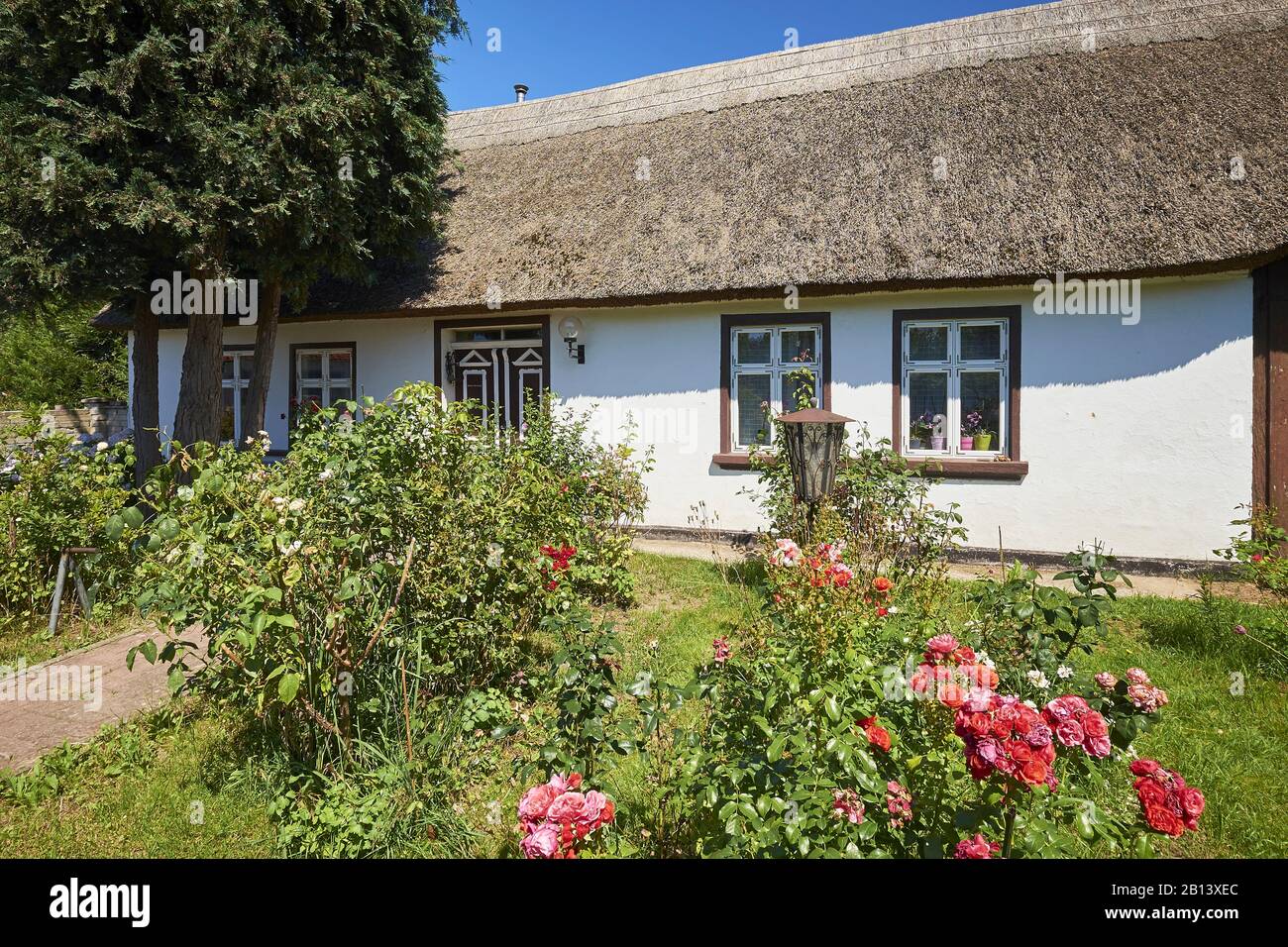 Cottage En Chaume À Warthe,Lieper Winkel,Usedom Island,Mecklenburg-Vorpommern,Allemagne Banque D'Images