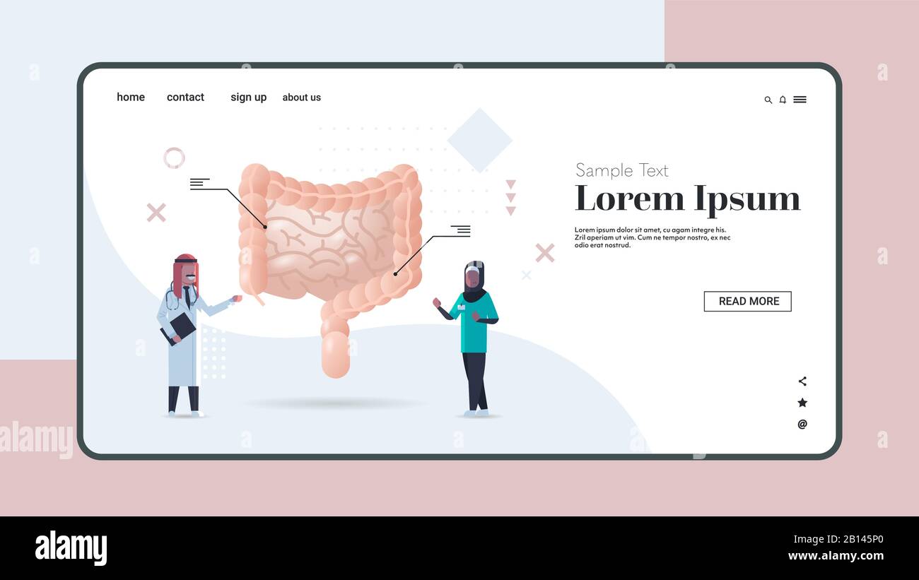 les médecins arabes qui examinent le système digestif de l'intestin humain consultation médicale inspection interne des organes examen traitement concept espace de copie horizontal illustration vectorielle pleine longueur Illustration de Vecteur