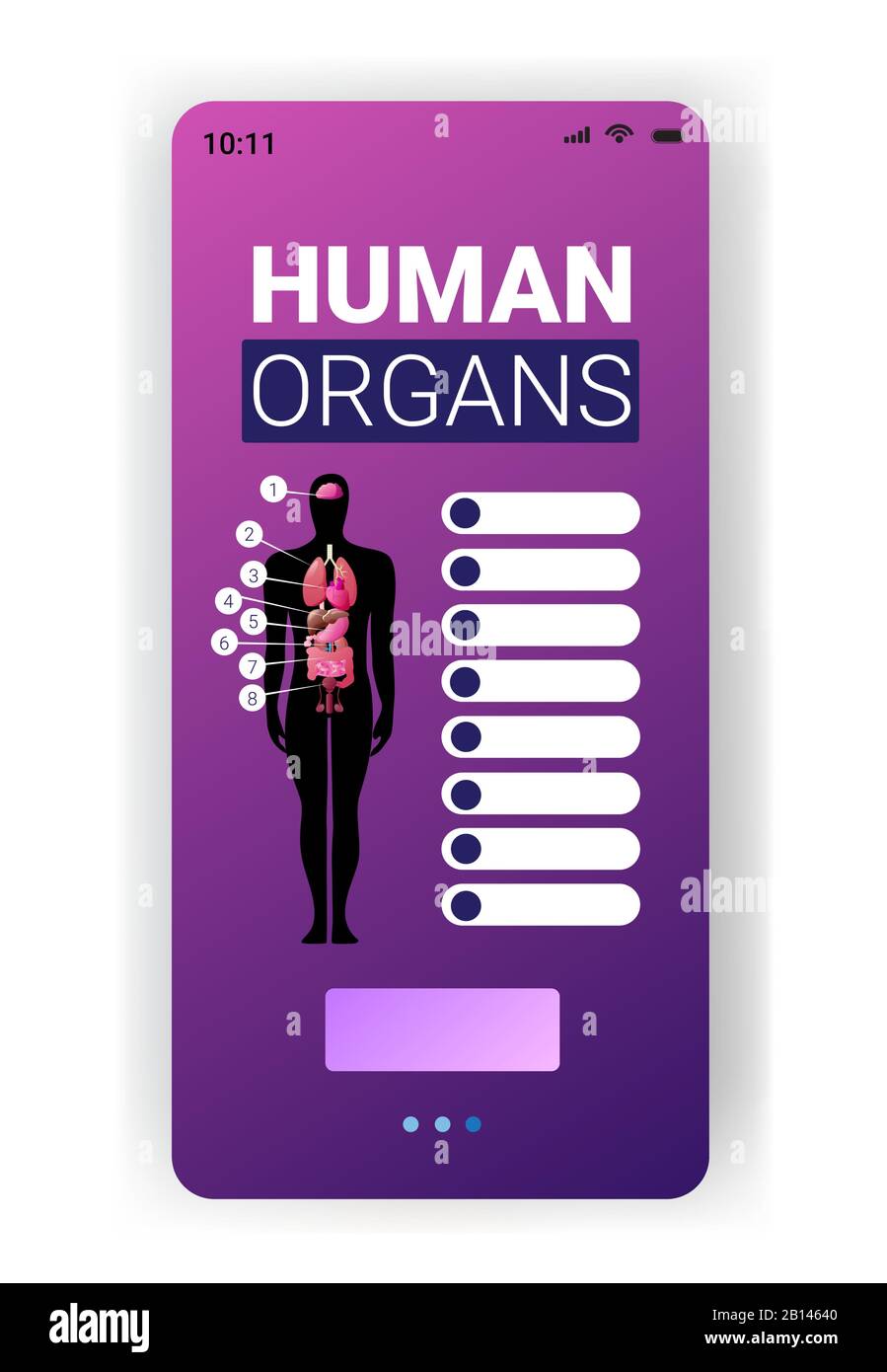 poster infographie sur la structure du corps humain avec icônes des organes internes masculins anatomie carte système écran smartphone application mobile illustration vectorielle verticale Illustration de Vecteur