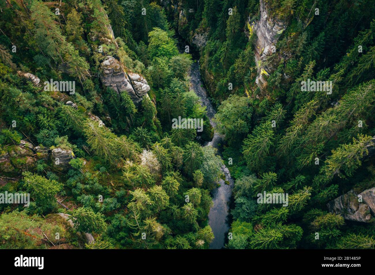 Gorge de Hrensko en République tchèque Banque D'Images