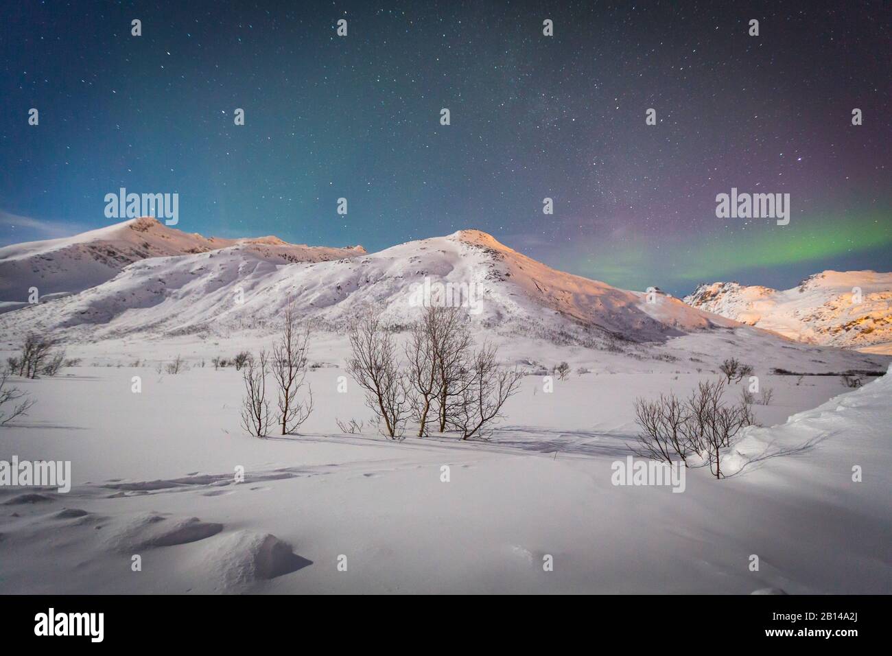 Lofoten Norvège lumières polaires en février hiver paysage d'hiver Aurora Borealis Banque D'Images