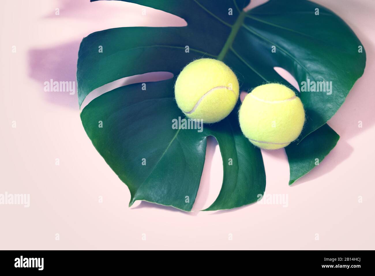 Tennis avec balles de tennis et feuilles tropicales Banque D'Images