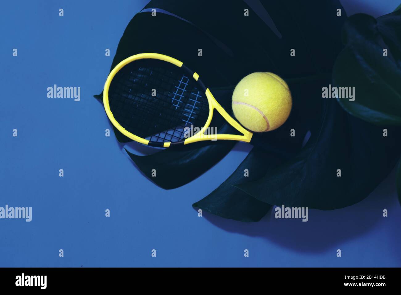 Tennis avec balles de tennis et feuilles tropicales Banque D'Images