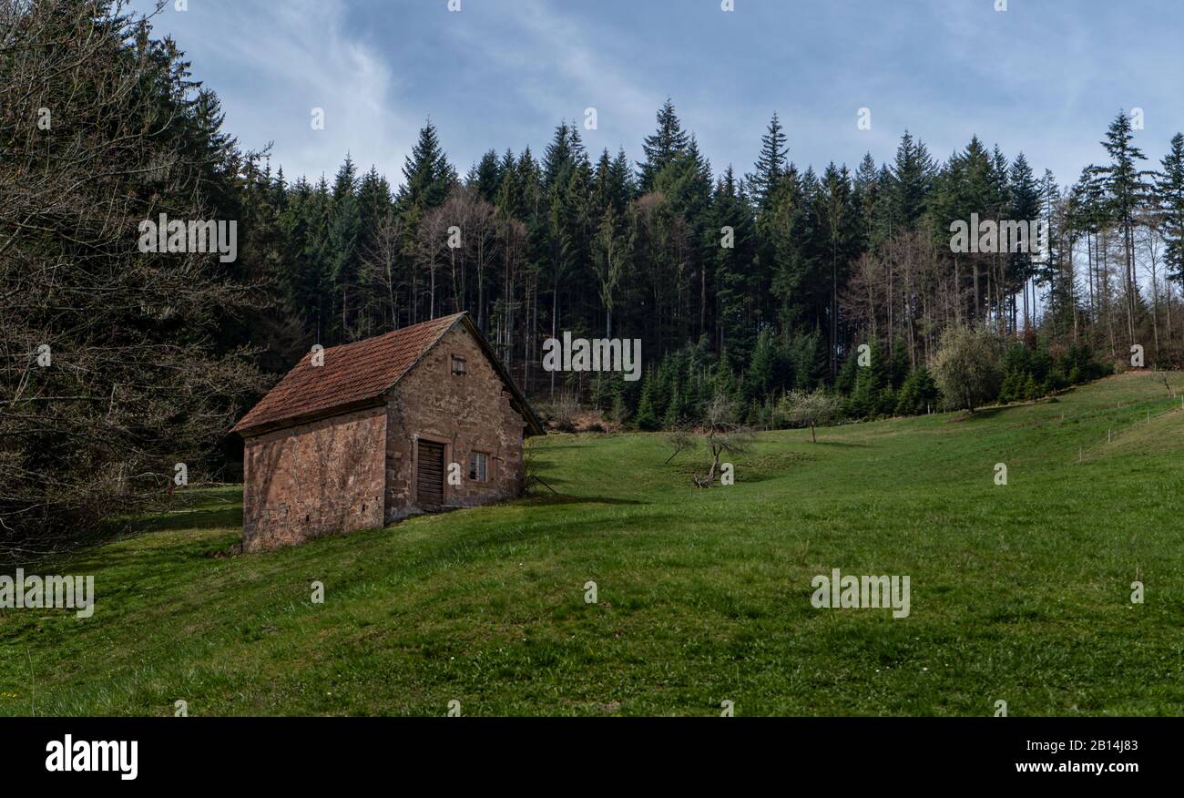 Paysage de la Forêt Noire avec maisons anciennes typiques, Allemagne
