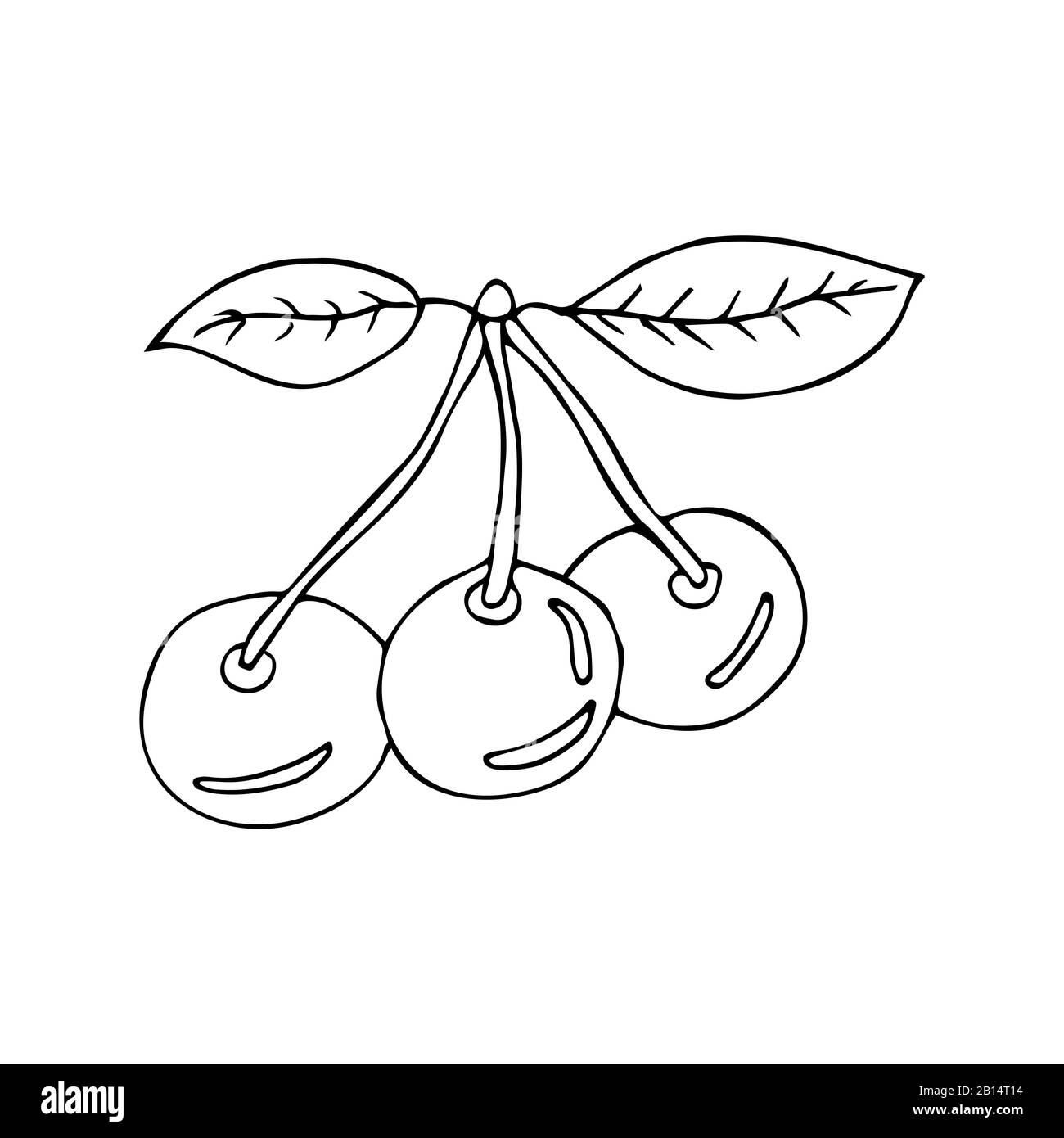 Trois cerises mûres sur fond blanc, illustration noire et blanche dans le style des gribouillis. Baies d'été saines et savoureuses Illustration de Vecteur