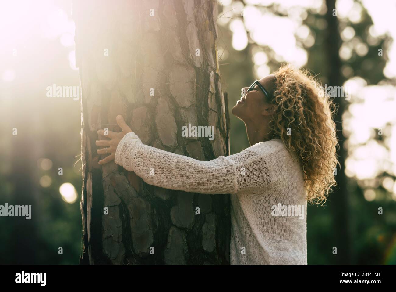 Concept d'environnement avec une belle femme blonde adulte maud hug et aider un grand pin dans la forêt - arrêter la déforestation et le changement climatique danger Banque D'Images