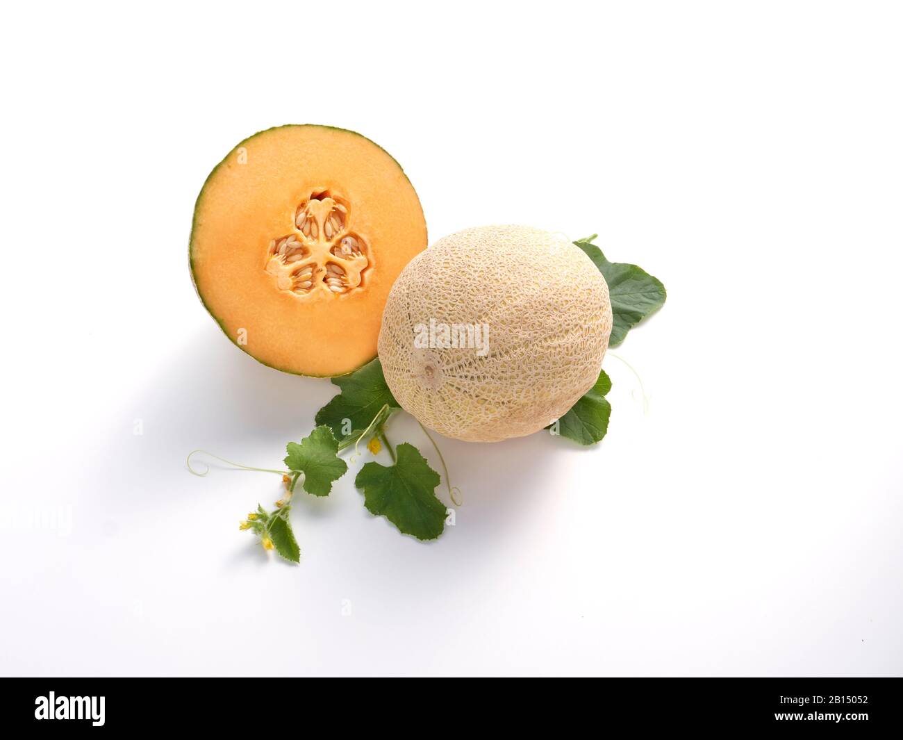 Un jardin frais cantaloup et cantaloup fleurs et feuilles sur blanc Banque D'Images