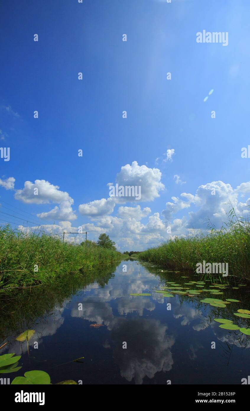 Naardermeer, Pays-Bas, Pays-Bas Du Nord, Naardermeer, Naarden Banque D'Images