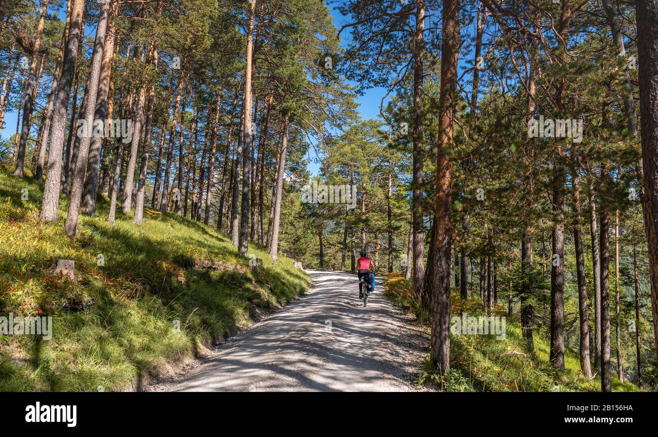 Cyclistes, VTT sur route de gravier à travers la forêt, route de gravier à la Karwendelhaus, Karwendeltal, Tyrol, Autriche Banque D'Images